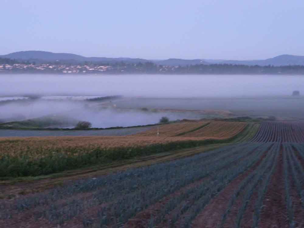 Fog over Mitchel Farms